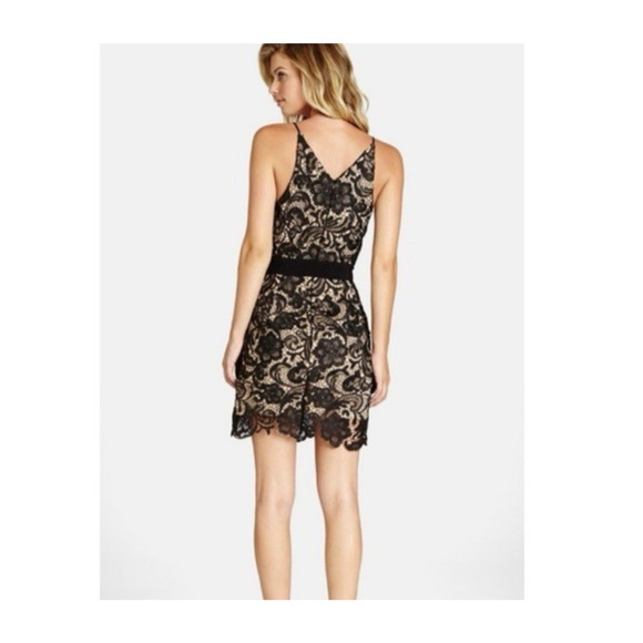 Dress the Population Ava Black Lace Mini Dress Medium Plunge V Neck Whimsigoth - Picture 2 of 16